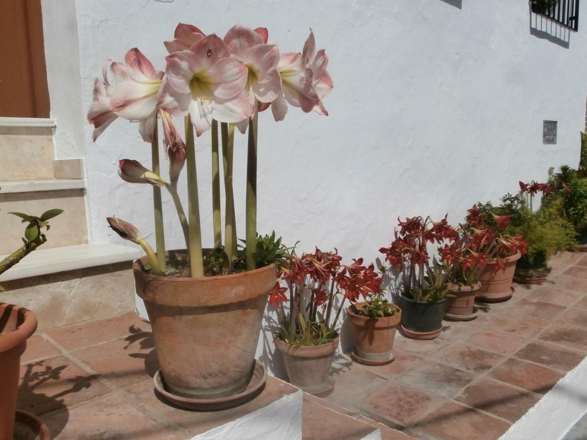 Bed and Breakfast Casa Alta Torrox Exterior foto